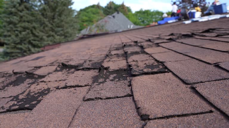 Best Storm Damage Roof Repair  in Winnebago, IL