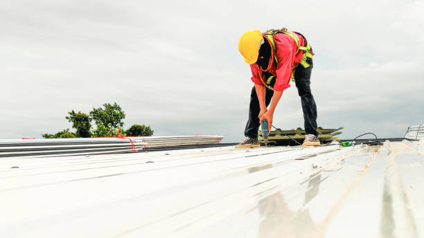 Best Skylights  in Winnebago, IL