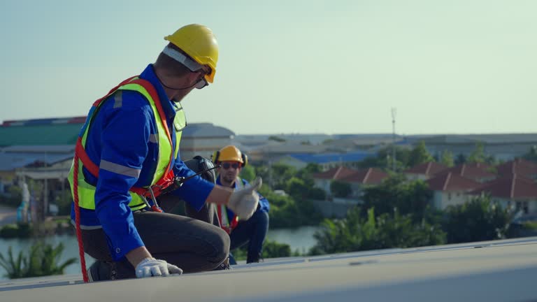 Best Chimney Flashing Repair  in Winnebago, IL