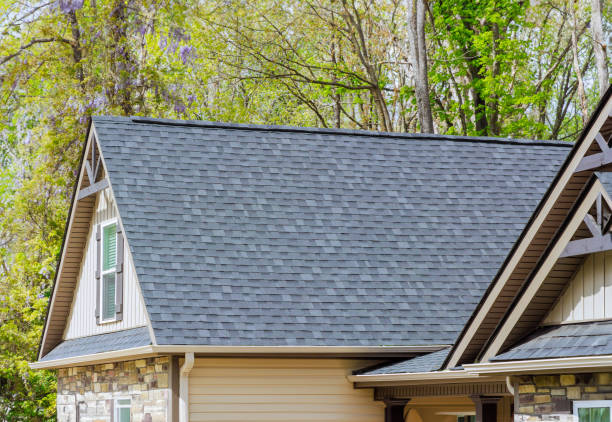 Steel Roofing in Winnebago, IL