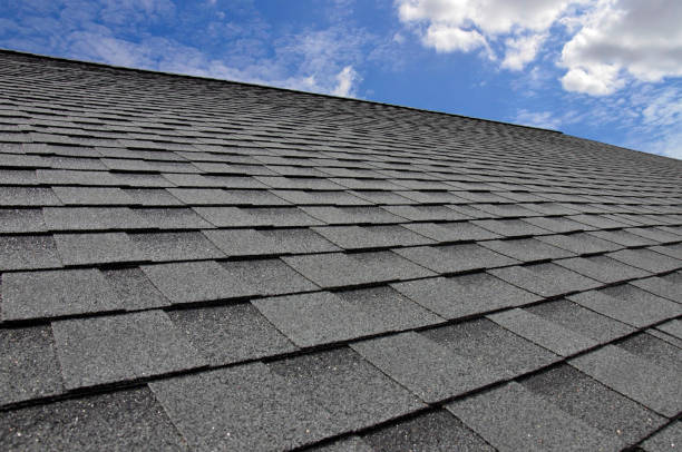 Best EPDM Roofing  in Winnebago, IL